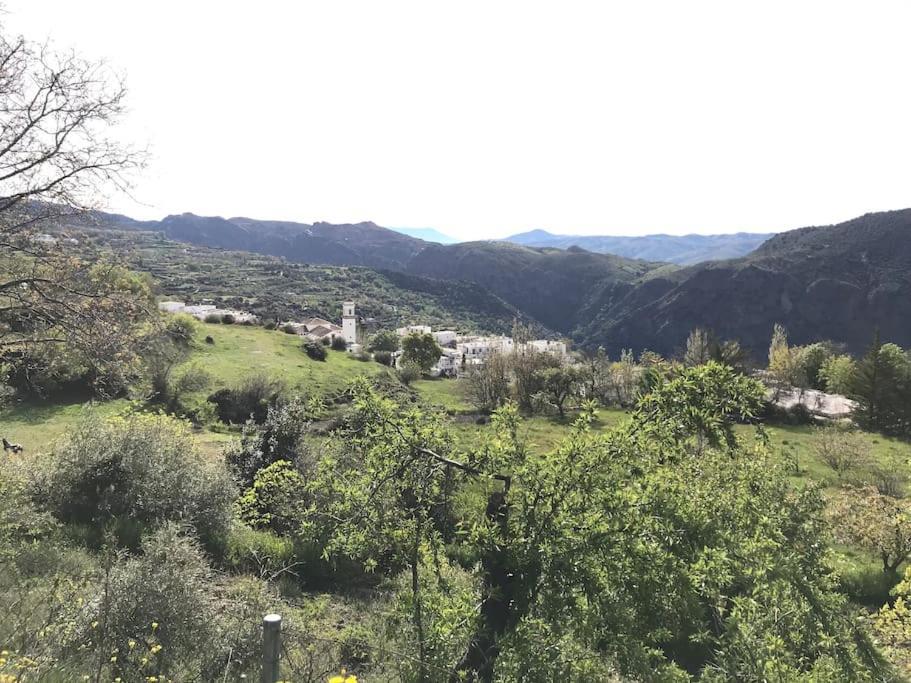 La Casa Rural De Paco Y Ana Pitres Екстериор снимка