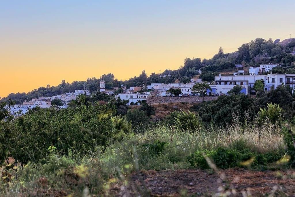 La Casa Rural De Paco Y Ana Pitres Екстериор снимка