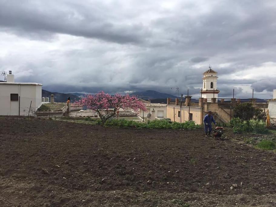 La Casa Rural De Paco Y Ana Pitres Екстериор снимка