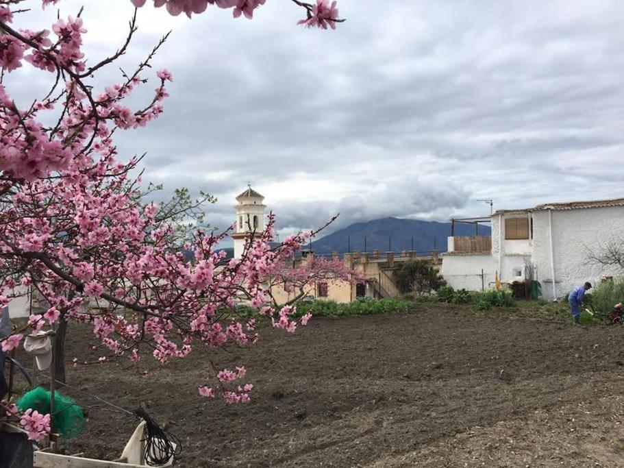 La Casa Rural De Paco Y Ana Pitres Екстериор снимка