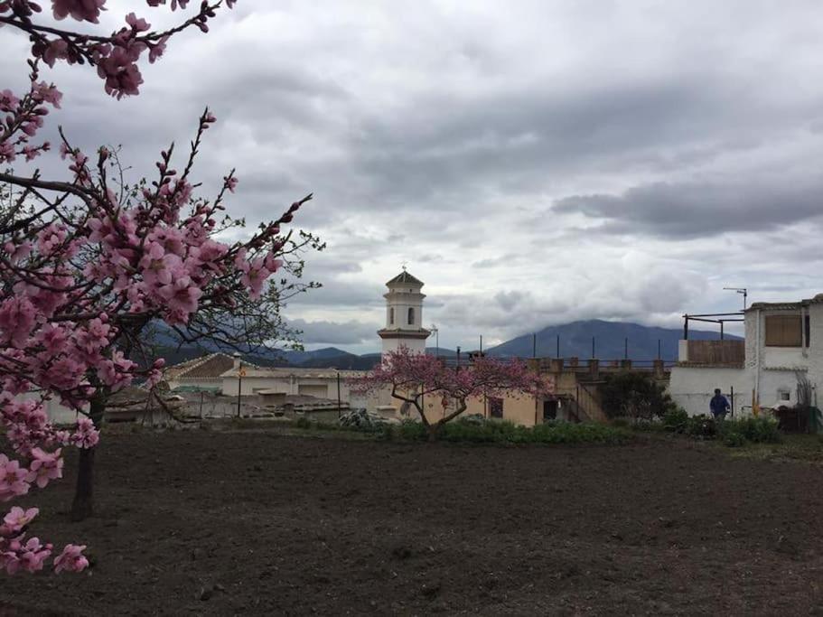 La Casa Rural De Paco Y Ana Pitres Екстериор снимка